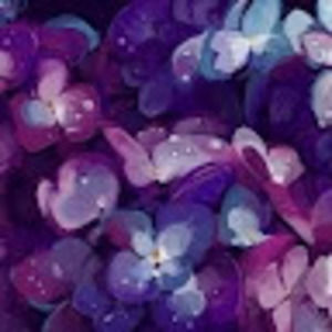 Meet your Posher, Bibiana